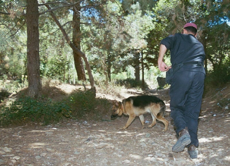 Επιχείρηση εντοπισμού Γερμανού τουρίστα σε εξέλιξη στα Χανιά