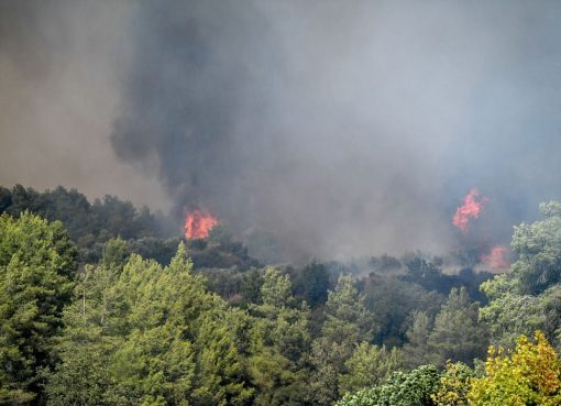 Αυξάνονται οι πυρκαγιές στην Ηλεία με ενισχυμένες δυνάμεις πυρόσβεσης στην περιοχή