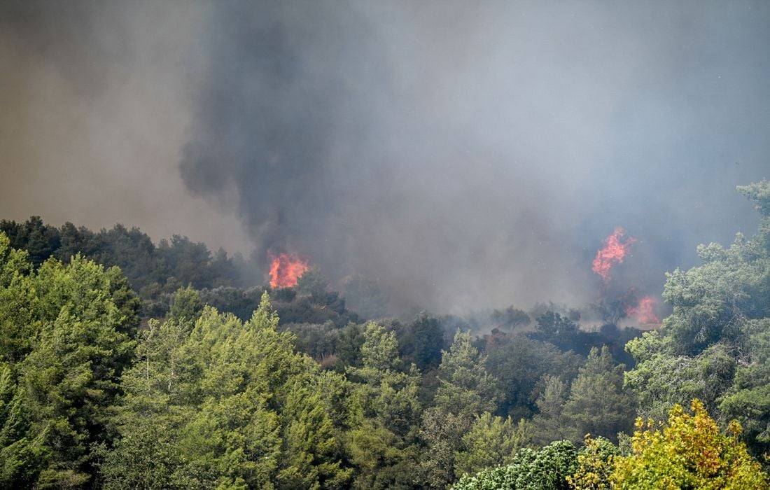 Αυξάνονται οι πυρκαγιές στην Ηλεία με ενισχυμένες δυνάμεις πυρόσβεσης στην περιοχή